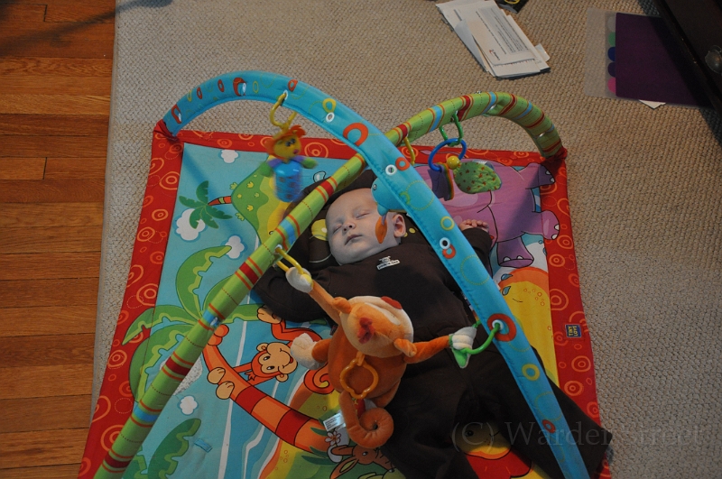 William's Thirteenth Week 07.jpg